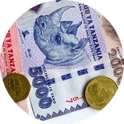 Tanzanian shilling notes and coins